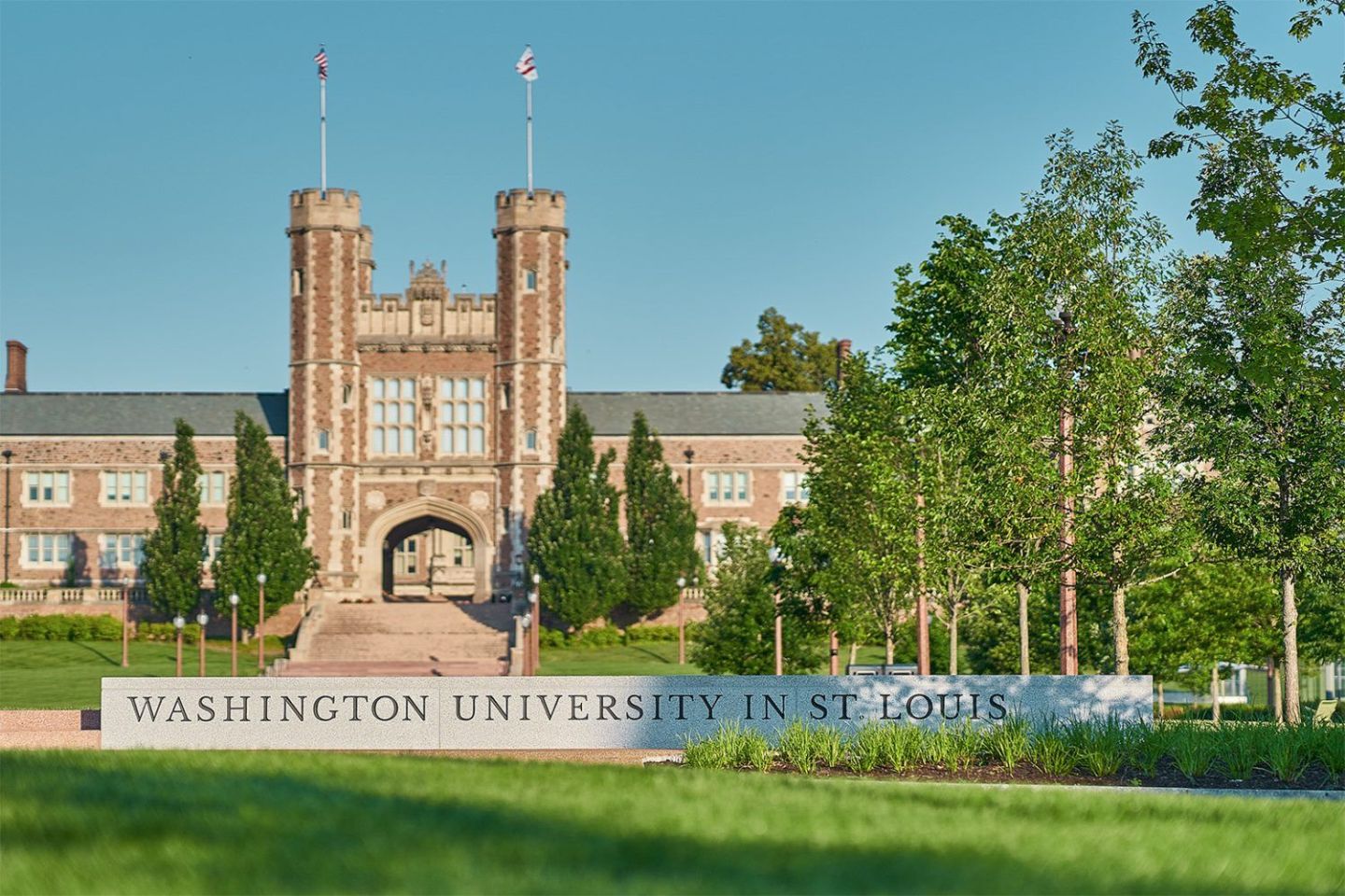 2. Washington University in St. Louis (Olin)