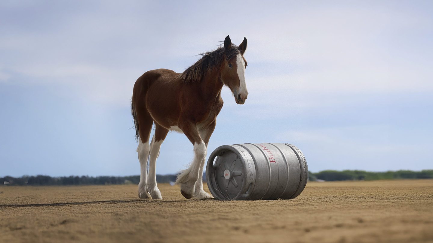 This image provided by Budweiser shows the Budweiser 2025 Super Bowl NFL football spot.  (Budweiser via AP)